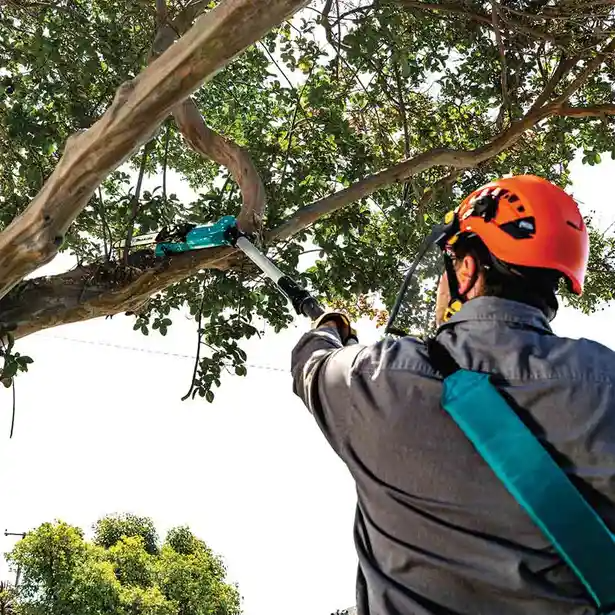 Makita DUA200Z 36V Cordless Brushless Pole Saw (LXT-Series) 20cm (8 Makita DUA200Z 36V Cordless Brushless Pole Saw (LXT-Series) 20cm (8